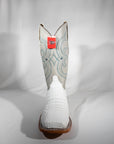White Caiman Justin boots